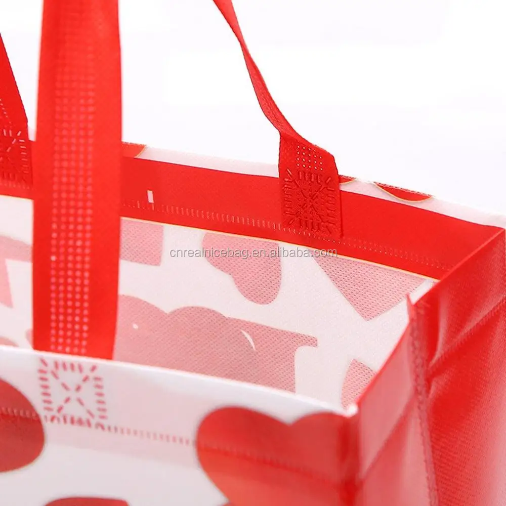 Non-woven Gift Bag (4).jpg