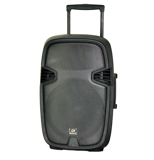 

15 inch Outdoor Bluetooth Party Karaoke Speaker