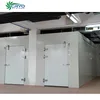 seeds flower frozen yogurt mix cold room for ice cream cold storage project construction cold storage bugis
