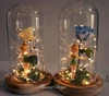 Latest design christmas decorative ambience warm white fairy garden led lights string