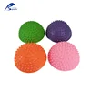 Kids Educational toy plastic 4colors Foot Massage Ball learning resources teaching aids