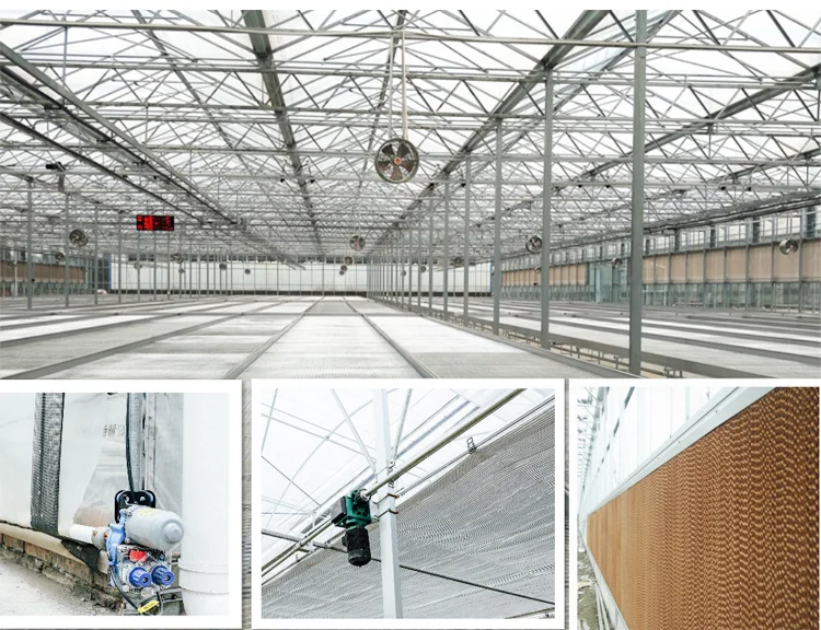 Good Price Used Greenhouses Equipment For Sale Buy Used Greenhouse