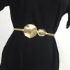Metal coins elastic women waist chain belt