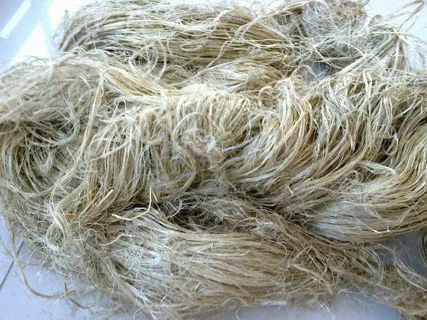 natural green hemp fiber.jpeg