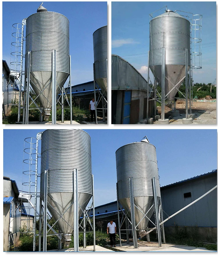 料斗锥形 3 吨养猪饲料筒仓