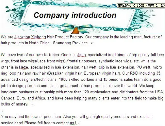 company introduction 
