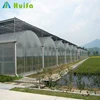 Hot Sell Customized Industrial Economical Multi Span Greenhouse