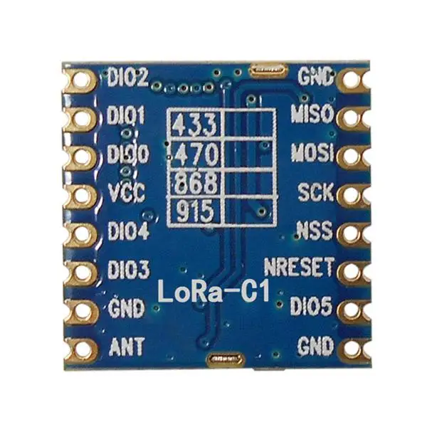 lora-C1 2.jpg