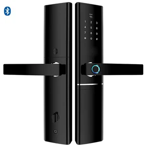 Smart Home Keyless Biometric Fingerprint Door Lock