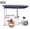 /product-detail/ice-cream-bike-for-sale-tricycle-cargo-with-158l-solar-power-freezer-62209428415.html