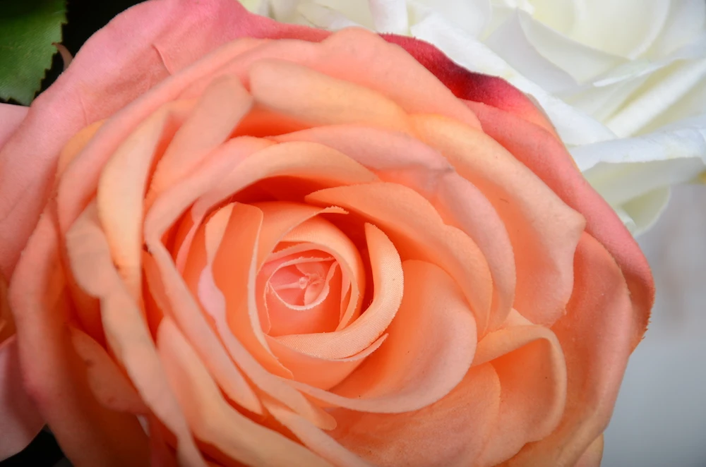 long stem silk rose artificial flowers heads for wall decoration