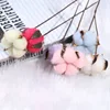 Natural cotton photo props photography studio ornaments colorful cotton flowers