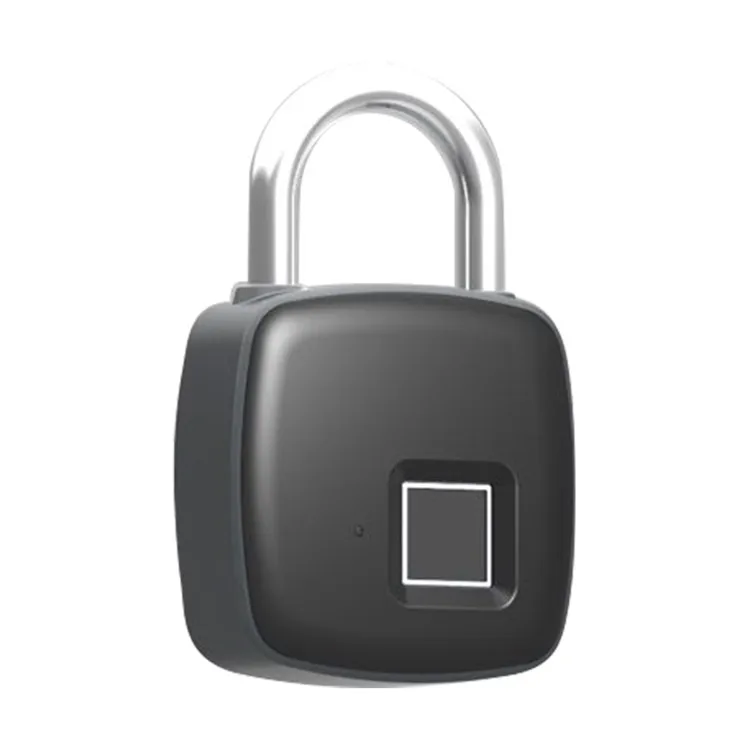 Travel Fingerprint Lock