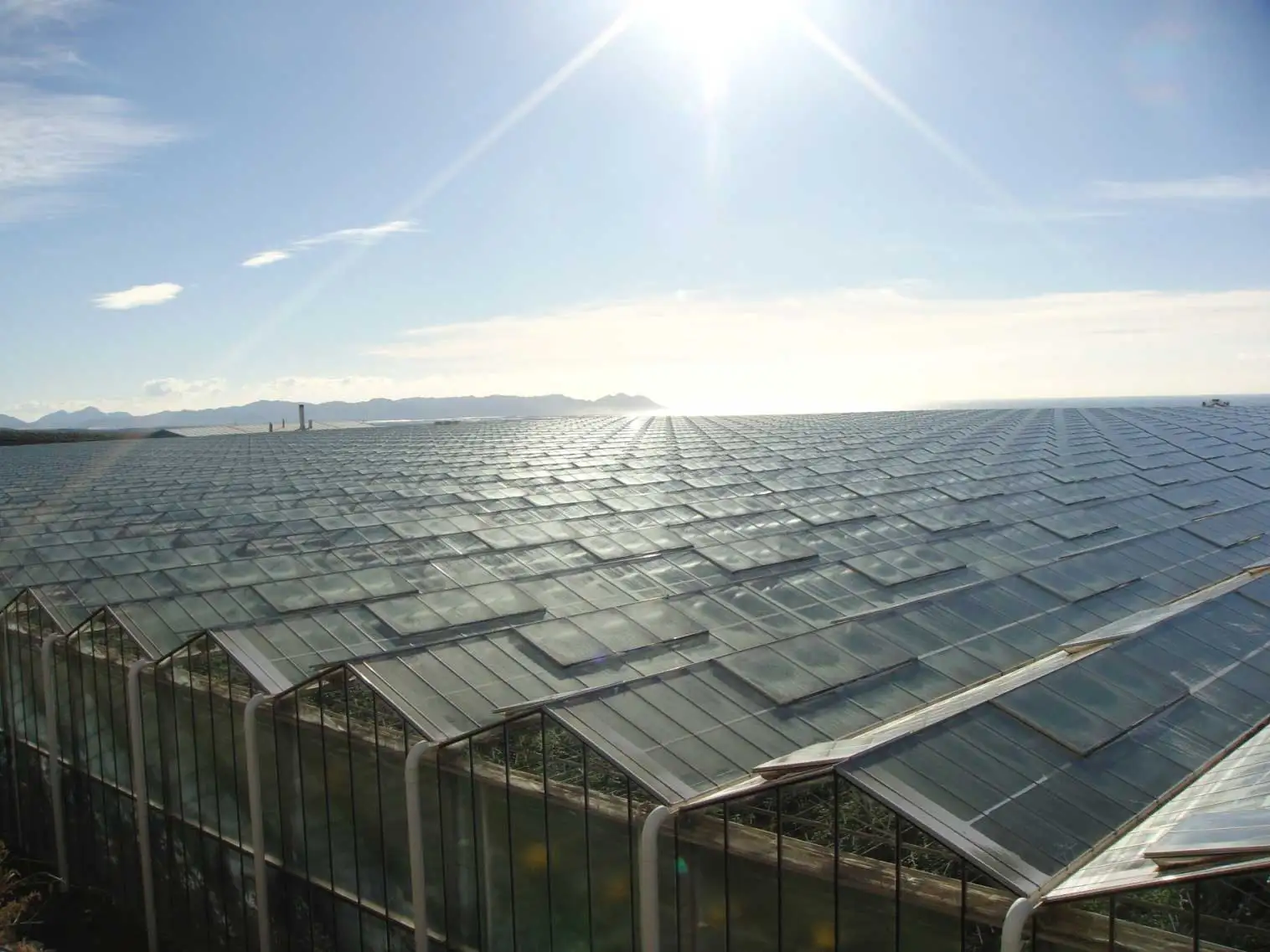 Good Price Used Greenhouses Equipment For Sale Buy Used Greenhouse