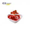 Factory price High quality tomato paste processing