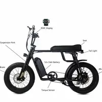 

2019 Most Popular 48V 1000W Mac Hub Drive Motor Electric Bicycle/Electric Bike