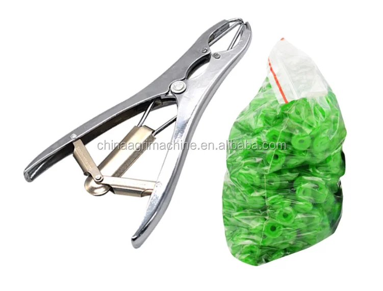 burdizzo castration
