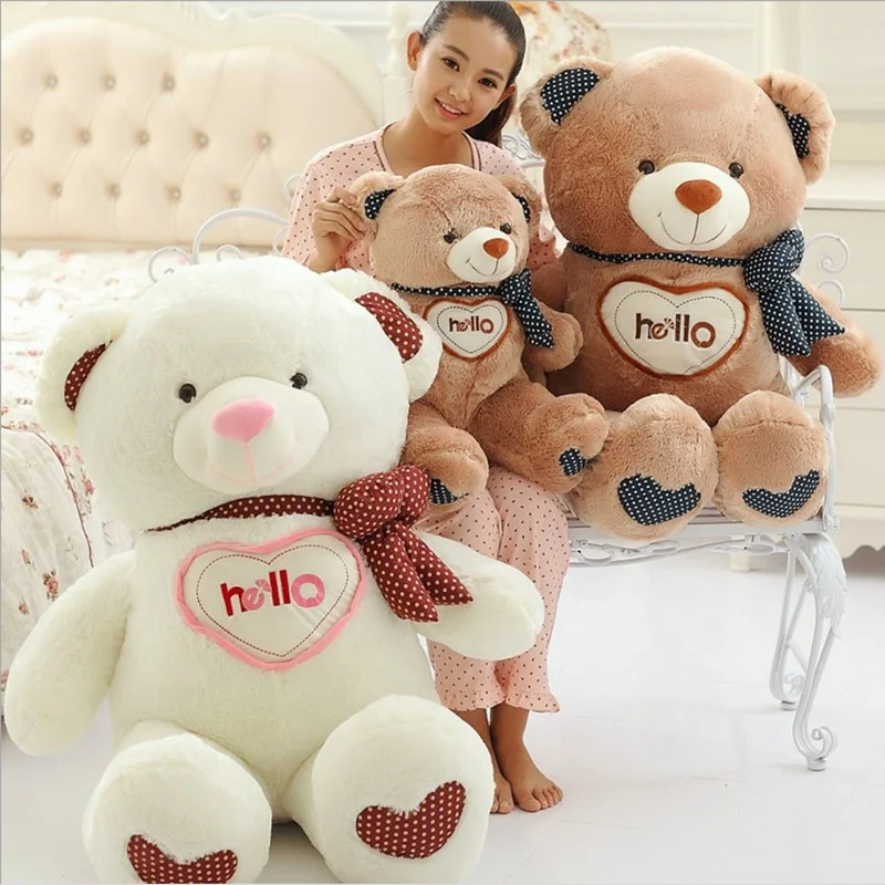 hello teddy