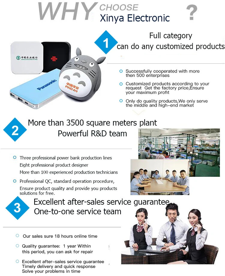 professional powerbank