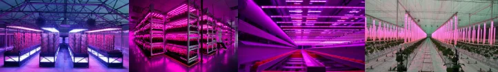 vertical led grow lights
