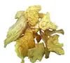 Dried sliced Pokeberry Root of Phytolacca acinosa Roxb for herbal use