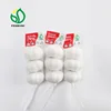 Jin Xiang fresh normal white garlic price importance of garlic china supplier