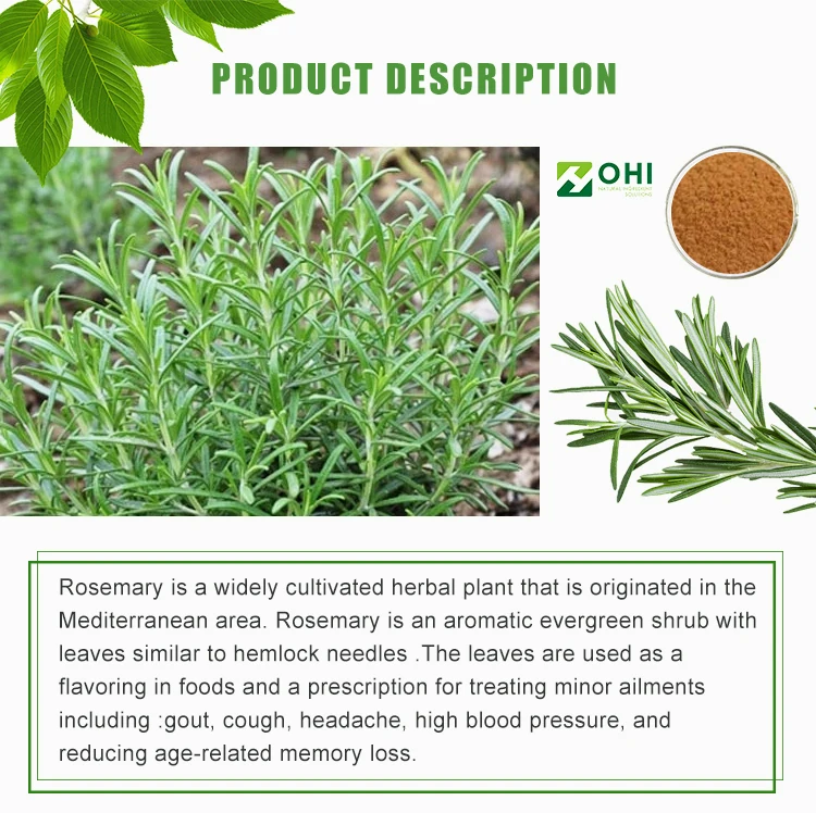 Rosemary-Extract-_01.jpg