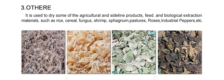 guoxin safe and reliable operation good quality dried salted fish drying machine