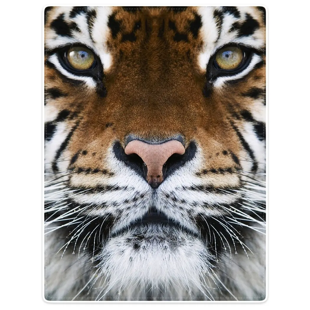 71ytdzdHgTL._SL1050_