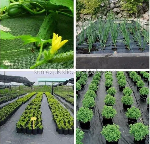 Anti Root Barrier Grass Control Fabric,Pp Woven Tomato Growing Moisture ... Anti Root Barrier Grass Control Fabric,Pp Woven Tomato Growing Moisture ...