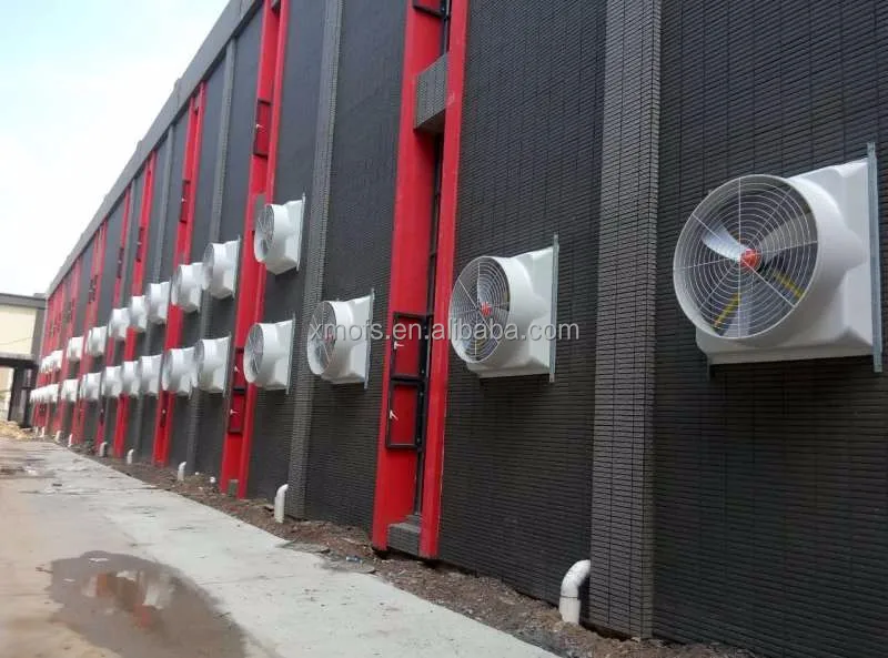 
chicken farming/ chicken farming ventilation system/ 