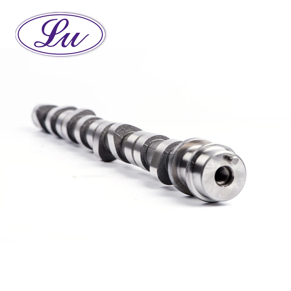 OEMNO PAJERO/SHOGUN I MD-050140 MD-302333 MD-137163 4D56/L300 auto engine parts Custom chilled cast iron camshaft assy