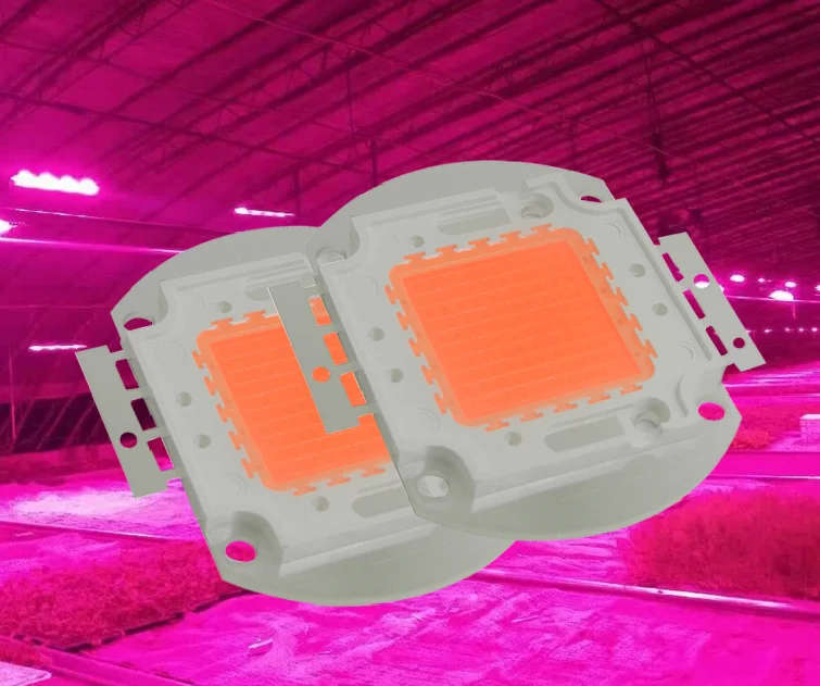 full spectrum 400nm~840nm cover plant all stage greenhouse 50w 100w Hydroponics LED Beads LED COB Grow led light