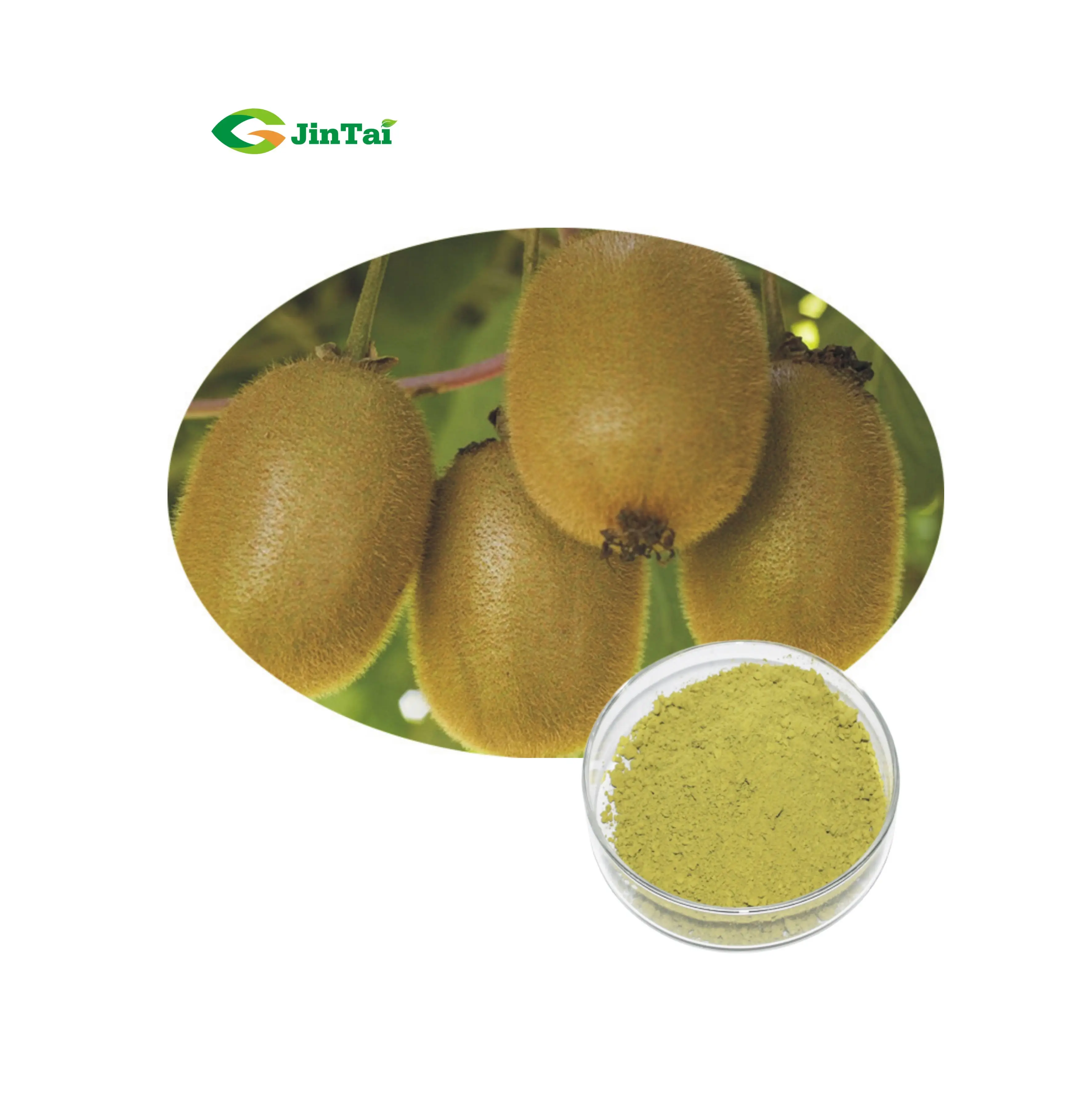 Kiwi Fruit Extract Powder/kiwi Fruit Powder Buy Kiwi Fruit Powder