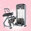 Commercial Gym Equipment Tricep Extension Machine