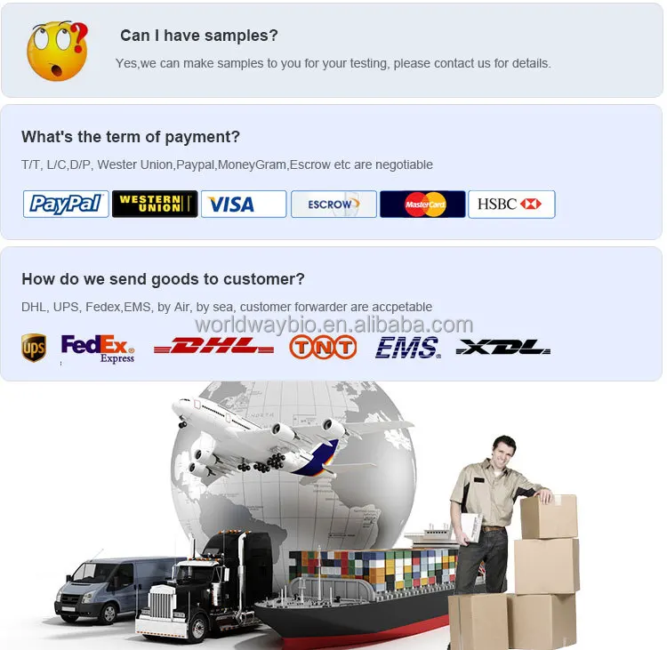 shipping.jpg
