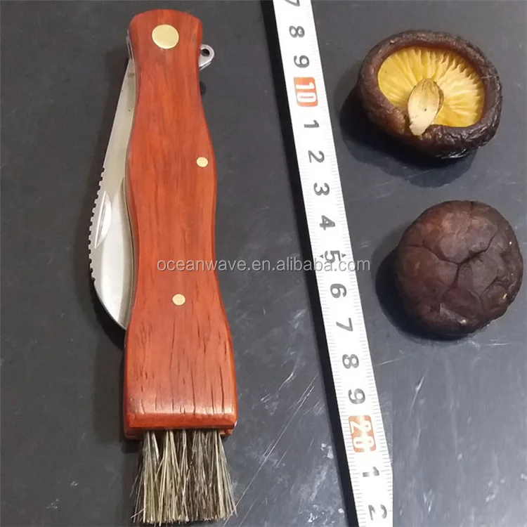stainless steel mushroom knife