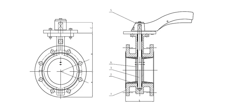 Manufacturing cast iron DN200 Flange type