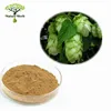 Factory Supply Natural Hops Extract / Hops Flower Extract Powder / Hops and Lupulin Extract Powder