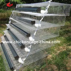 Quail Cages For Sale Wholesale Suppliers Alibaba