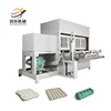 SH Machinery manufacturing egg tray machine/egg carton box machine