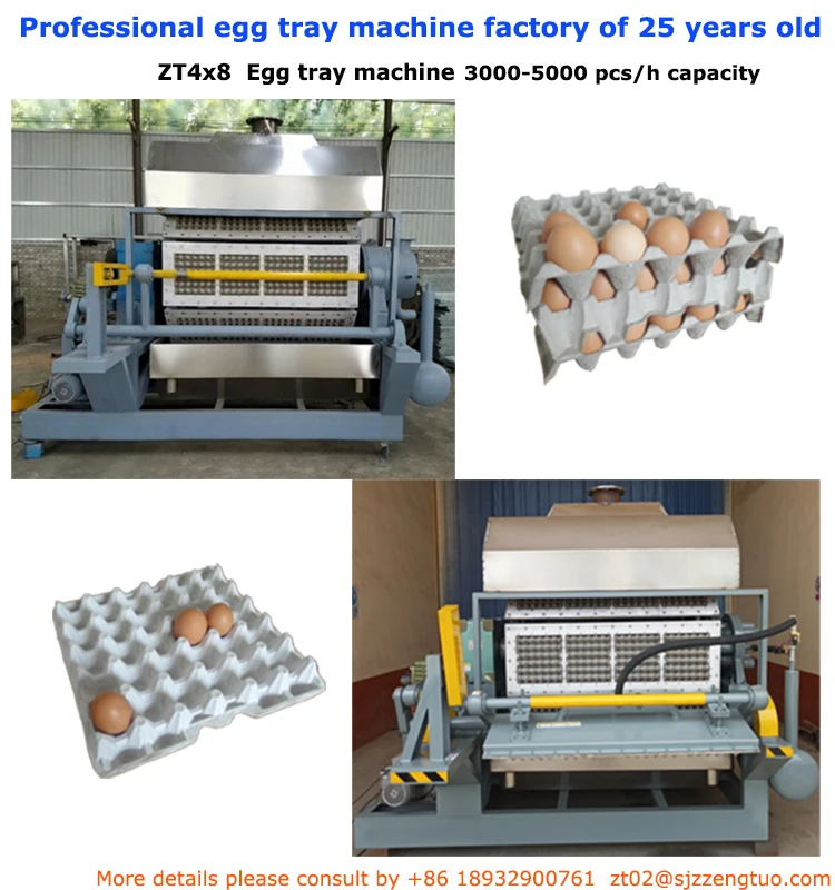 Automatic Egg Tray Making Machine For Packing Eggs/paper Egg Tray