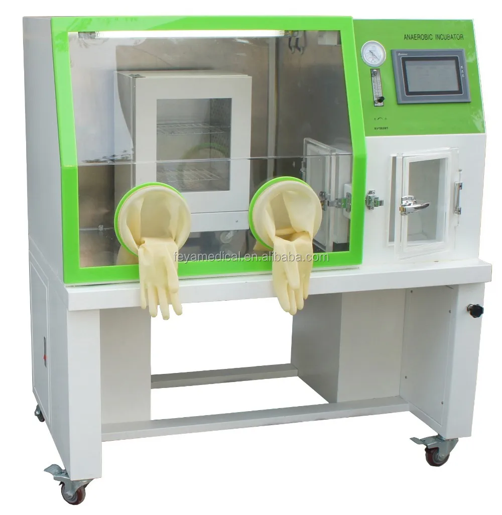 Fyyqx Series Laboratory Anaerobic Incubator With