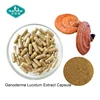 /product-detail/ganoderma-extract-ganoderma-capsule-lucidum-ganoderma-60776013516.html