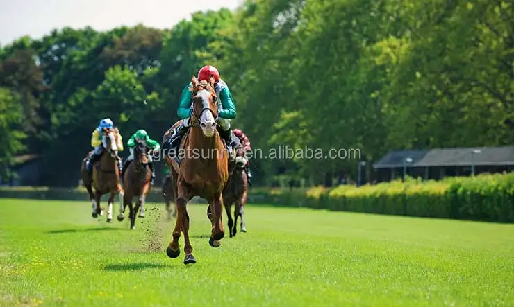 
Growing/sprout machine of seeds large capacity barley malt machine /hydroponic fodder machine(Radish red machine) 