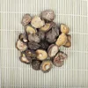 Natural and Health Food bulk dried shiitake morel mushrooms dried