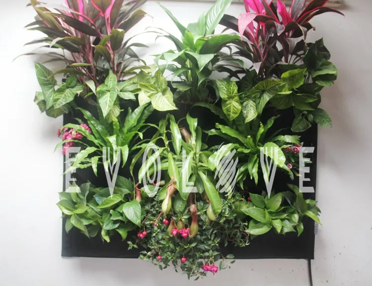 self watering vertical garden