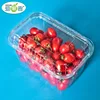 Manufacturer Fruit Plastic Packaging Container Fruit Packaging Tray Fruit Clamshell for Cherry Tomatoes of 900g