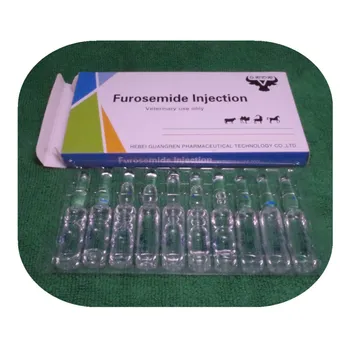 Lasix Furosemide Dose Indications Adverse Effects