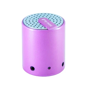 Compatible Wireless Bluetooth Speaker